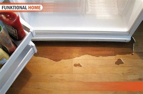 frigidaire refrigerator water leaking|Refrigerators